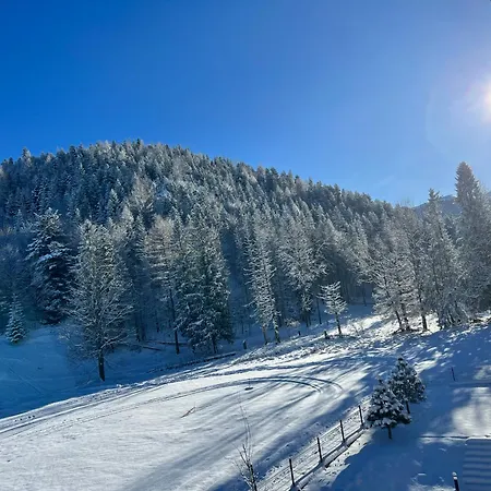 Lejlighedshotel Owca Na Szlaku Zakopane